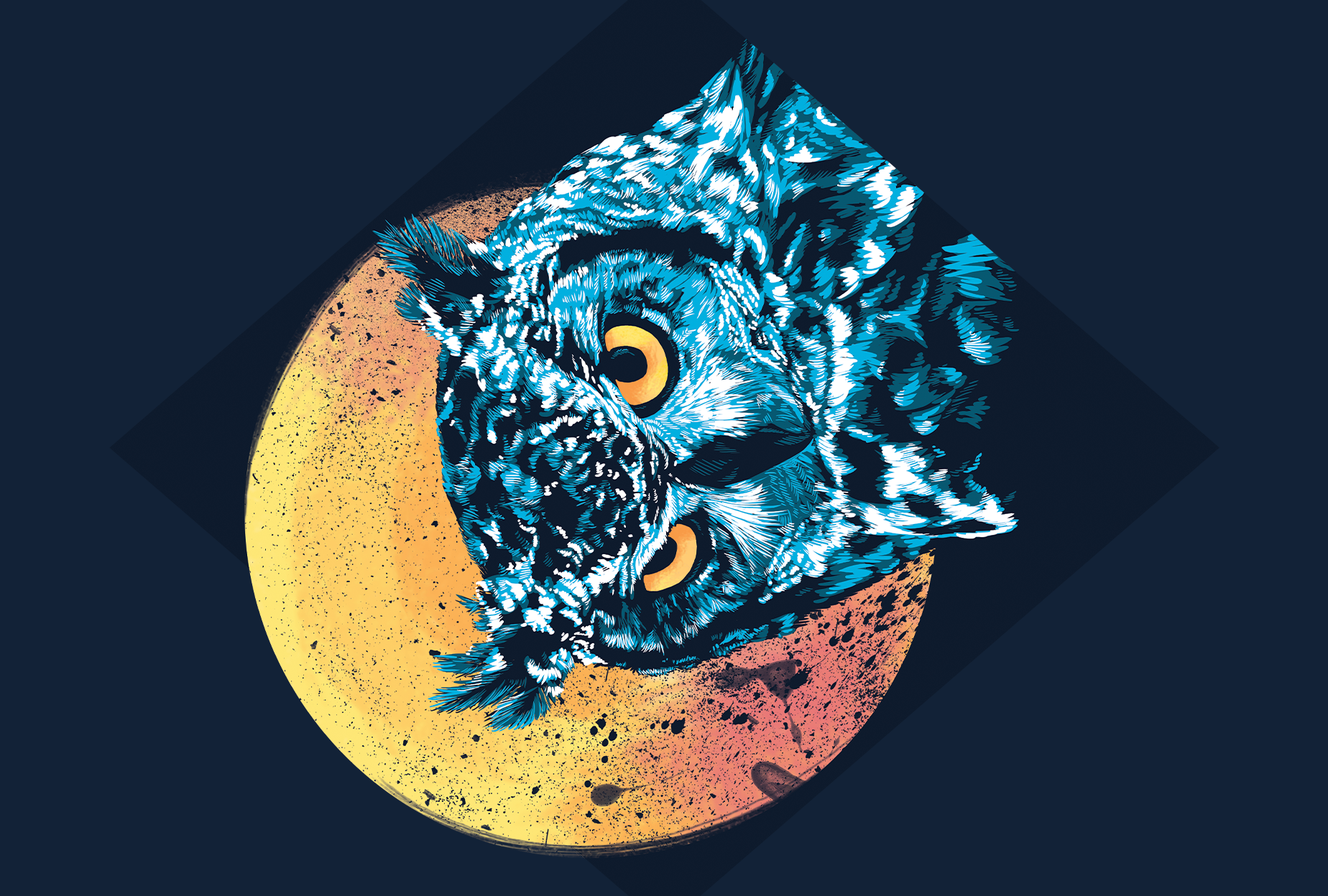 Animal Postcard Prints