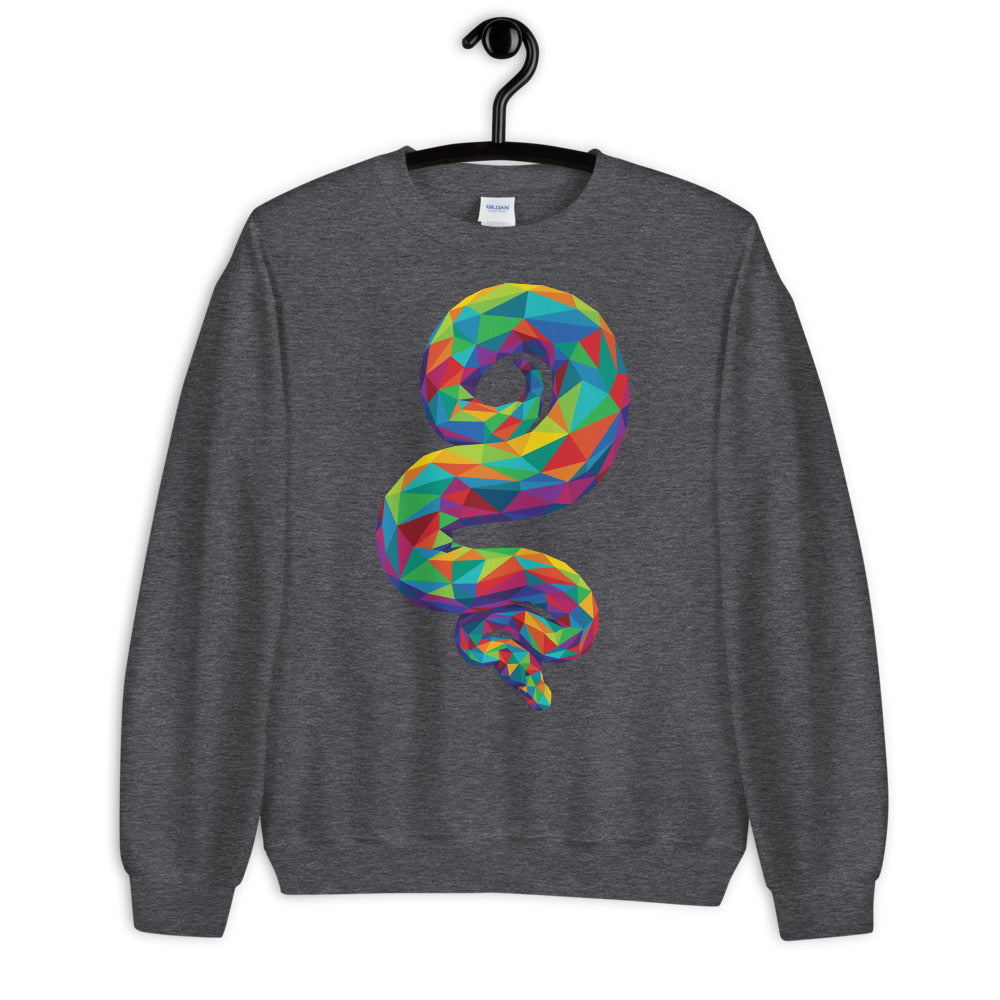 Rainbow Geo Snake Unisex Sweatshirt