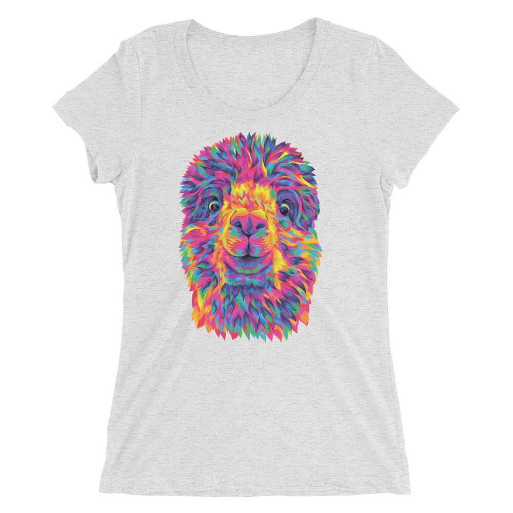 The Rainbow Alpaca Women's Cut Tri-Blend T-Shirt