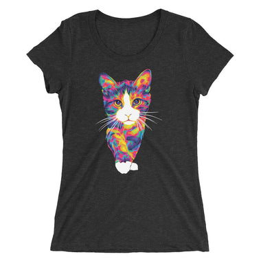 The Rainbow Cat Women's Tri-Blend T-Shirt